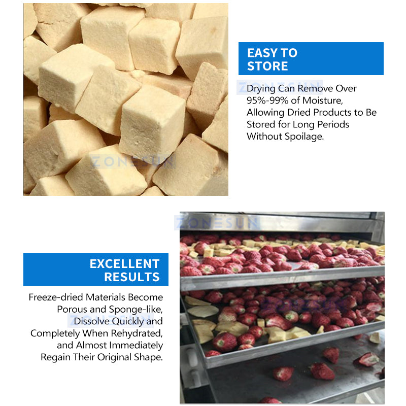 Zonesun ZS‑FD650 Industrial Freeze Dryer with Large‑Scale System