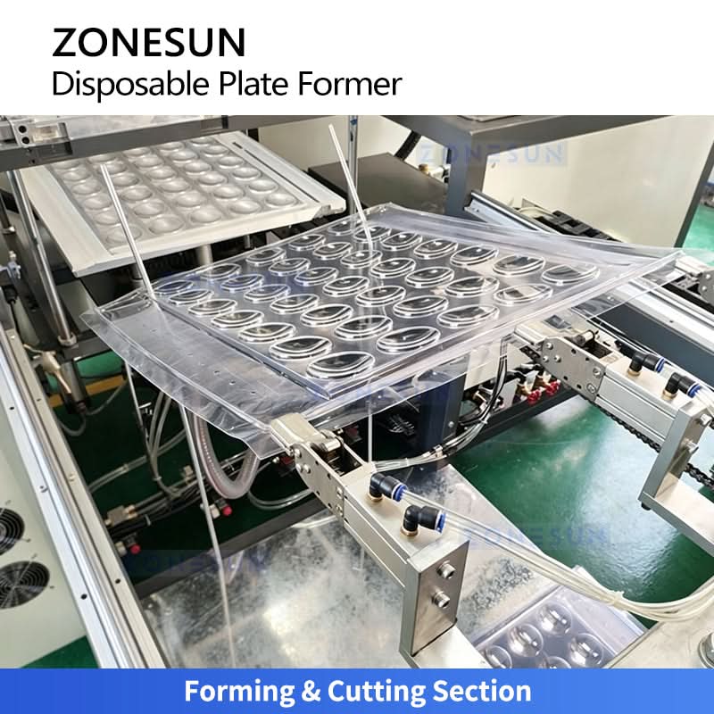 ZONESUN ZS-LK61 Automatic Disposable Cup and Plate Thermoforming Machine