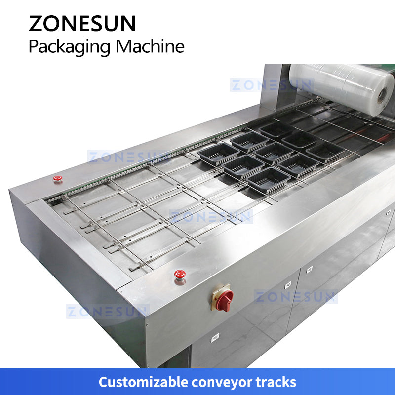 ZONESUN ZS-VSP100 Automatic Vacuum Sealer VSP Machine Seal Meat Seafood Ready Meals
