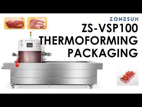 ZONESUN ZS-VSP100 Automatic Vacuum Sealer VSP Machine Seal Meat Seafood Ready Meals