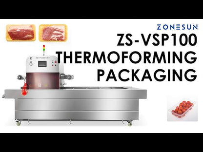 ZONESUN ZS-VSP100 Automatic Vacuum Sealer VSP Machine Seal Meat Seafood Ready Meals