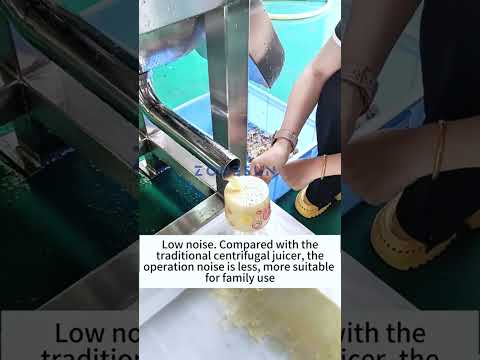 ZONESUN ZS-ZJ01 Spiral Juicer Machine | Commercial Fruit Vegetable Juice Extractor with Optional Screen