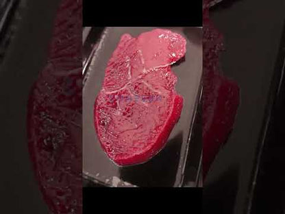 Zonesun ZS-VSP4 Vacuum Skin Packaging Machine for Food Extended Shelf Life Sealer