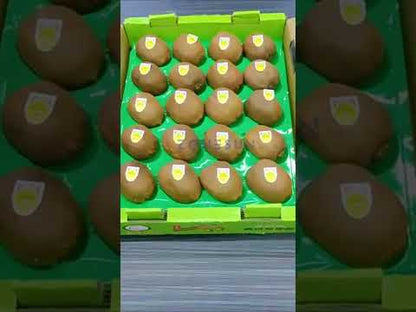 Zonesun ZS-SDTB40 Portable Handheld Electric Label Applicator