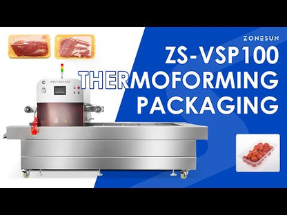 ZONESUN ZS-VSP100 Automatic Vacuum Sealer VSP Machine Seal Meat Seafood Ready Meals